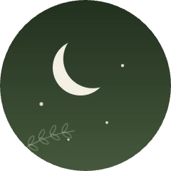 休職中に眠れなかった頃の自分を表す夜の森と細い月